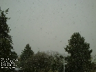 Galerie dessau_webcam_03.jpg anzeigen.