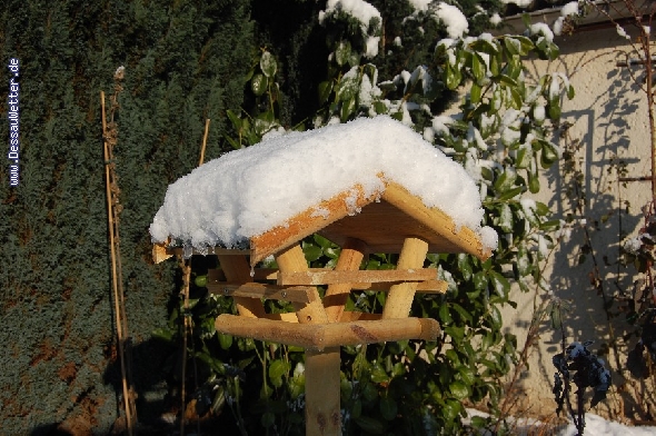 http://www.dessauwetter.de/galerie2/cache/vs_9%20Winter%202009_Winter_03.jpg