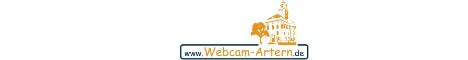 Webcam-Artern
